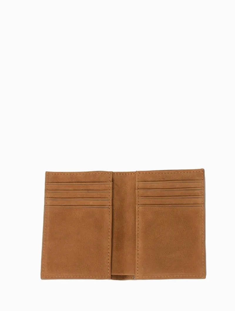 Diego - Image 6