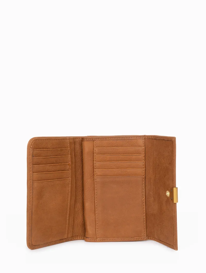 Lotti - Image 35