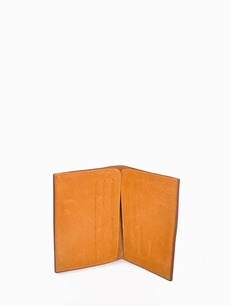 Paul - Image 4